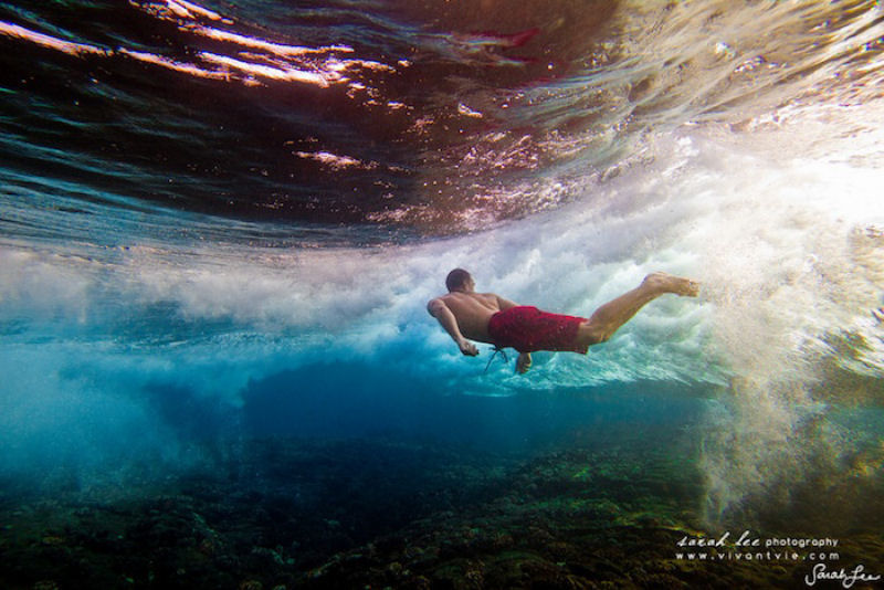 Épica fotografia subaquática por Sarah Lee 46