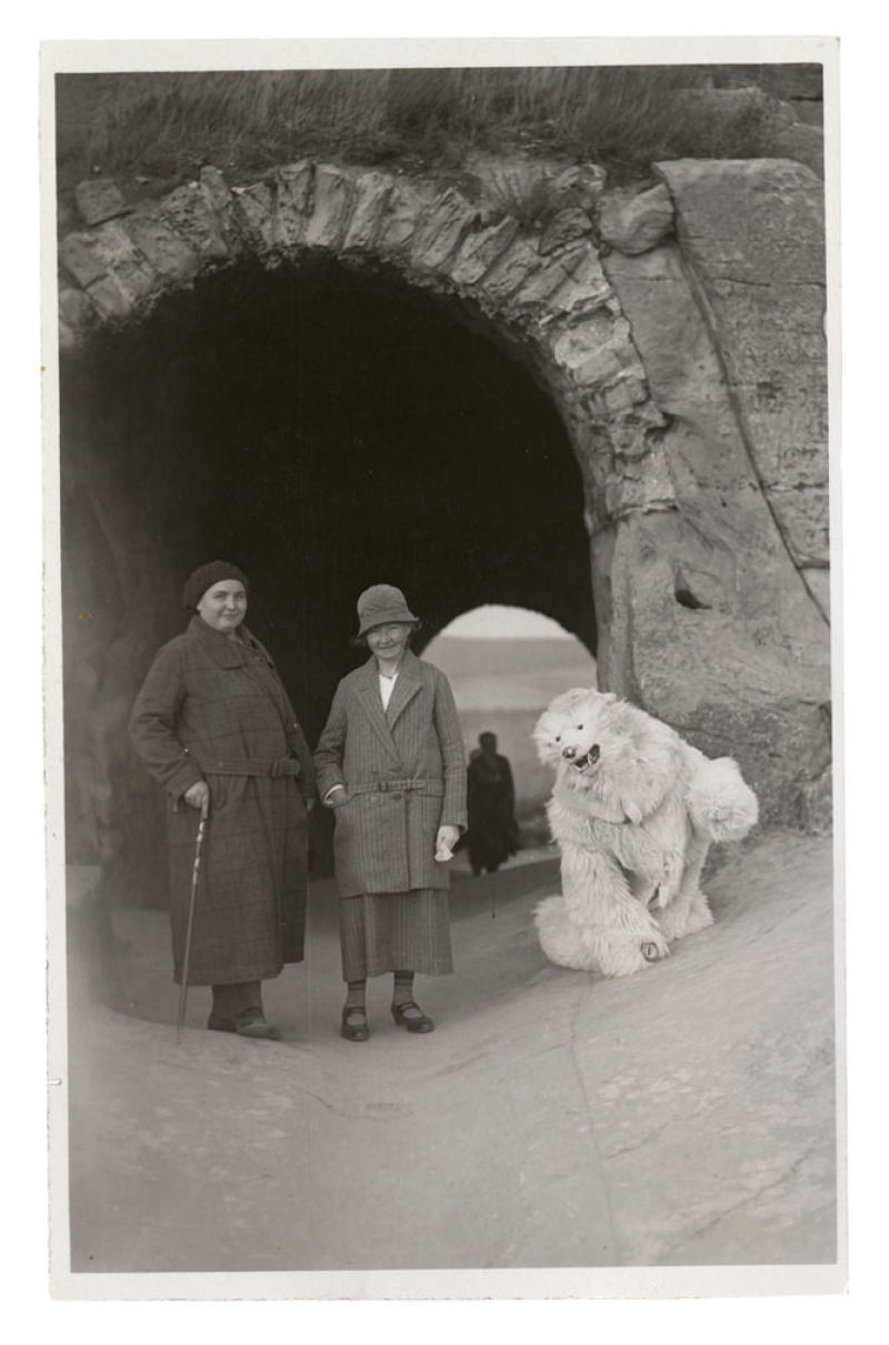 A curiosa mania dos ursos polares em Berlim na década de 1920 04