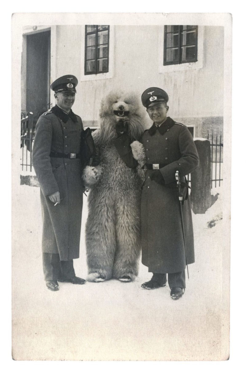 A curiosa mania dos ursos polares em Berlim na década de 1920 06