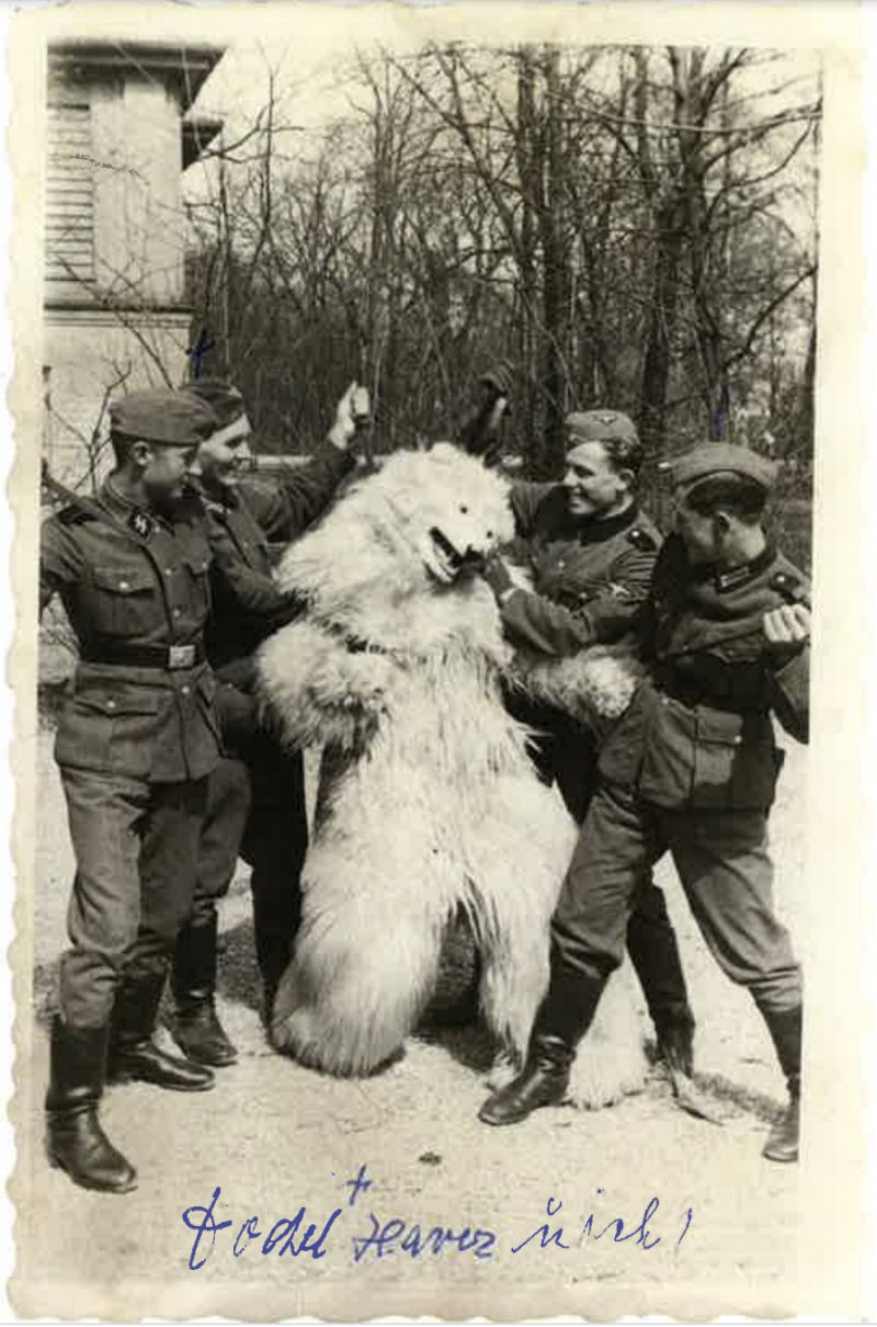 A curiosa mania dos ursos polares em Berlim na década de 1920 16