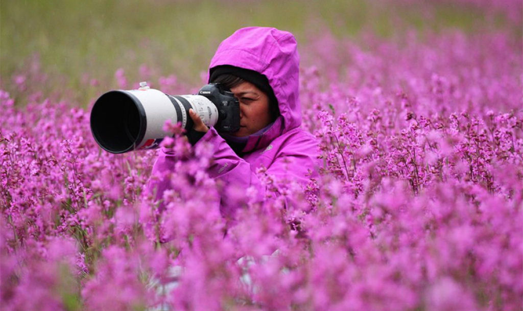 25 razes pelas quais ser fotgrafo da natureza  o melhor trabalho do mundo 15