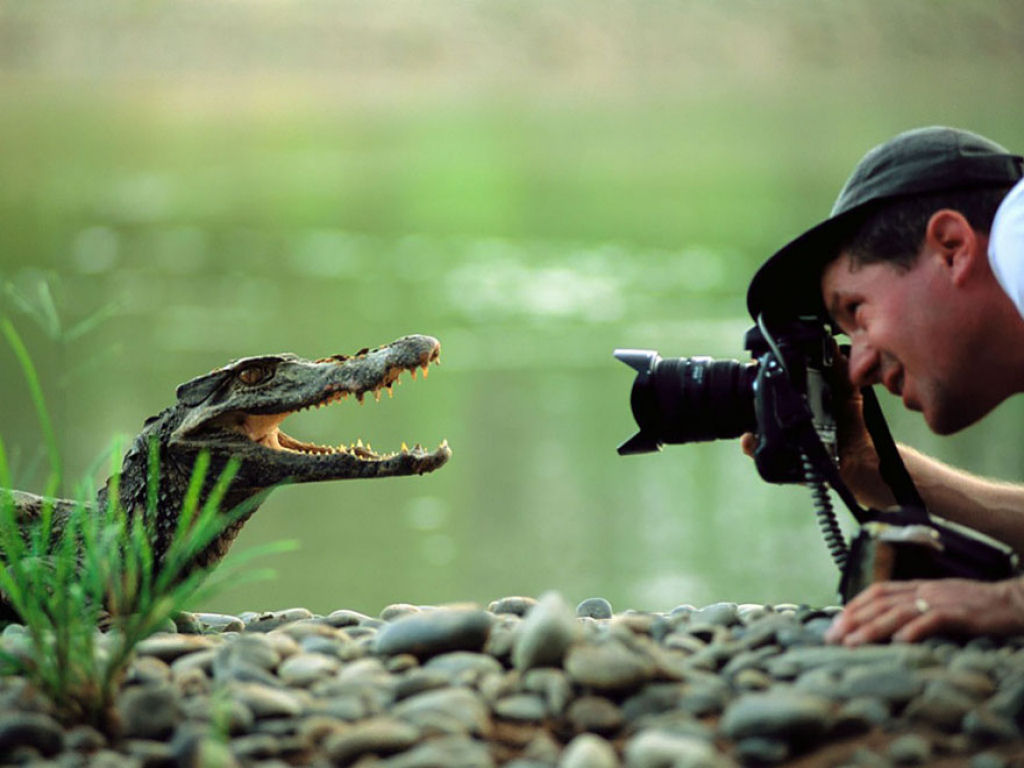 25 razes pelas quais ser fotgrafo da natureza  o melhor trabalho do mundo 20
