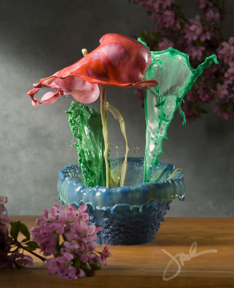 Incrveis salpicos em flores - Fotografia de alta velocidade 01