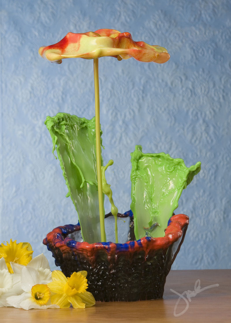 Incrveis salpicos em flores - Fotografia de alta velocidade 05