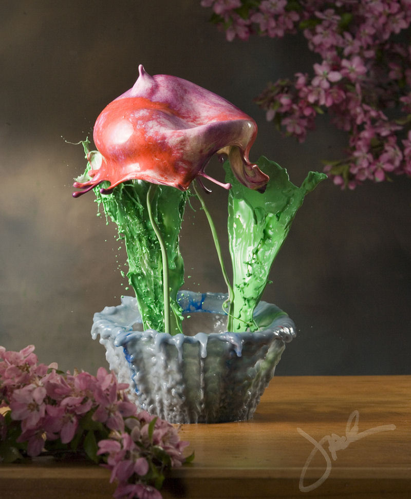 Incrveis salpicos em flores - Fotografia de alta velocidade 07