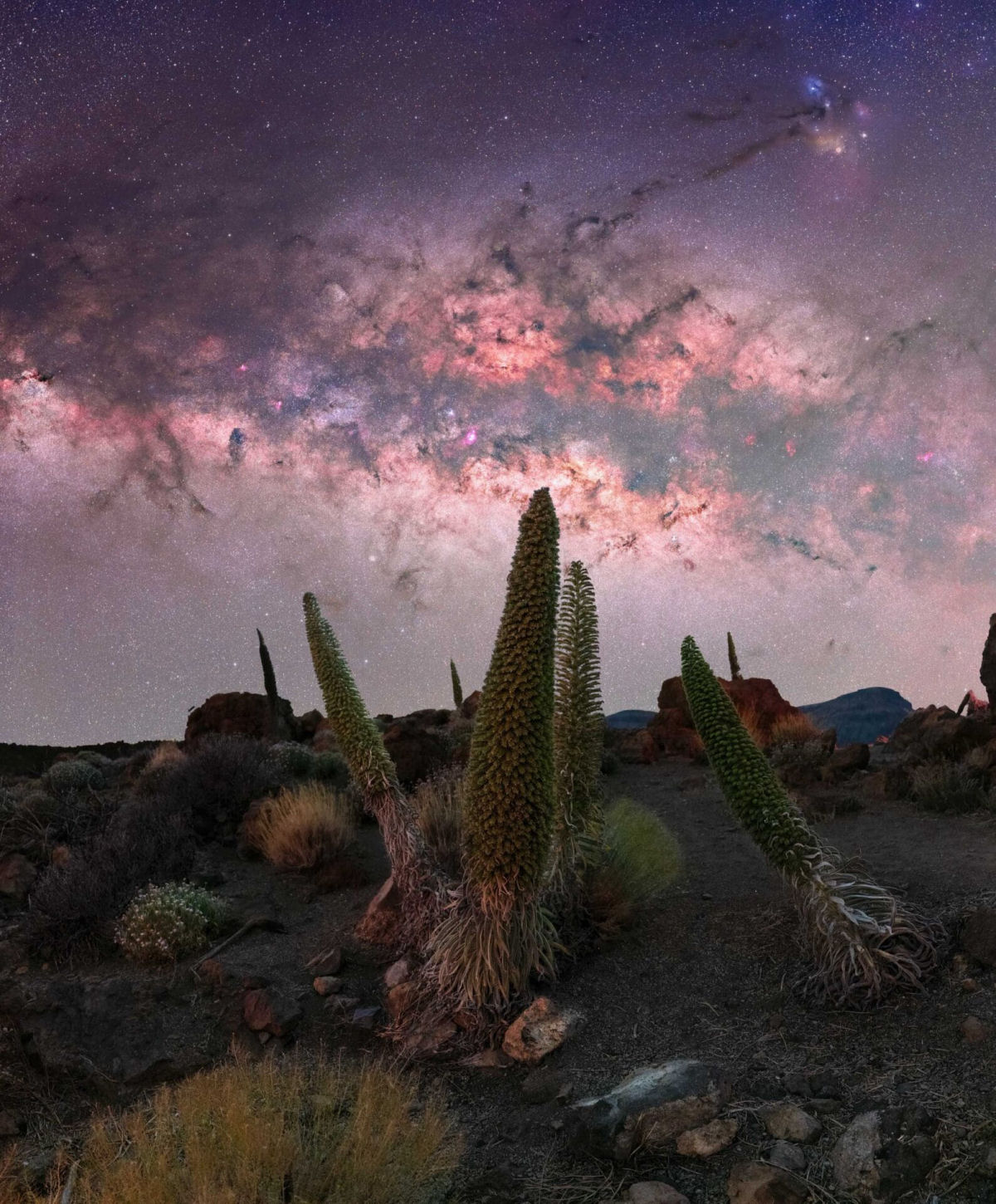 O concurso de fotgrafo de Via Lctea 2024 celebra a deslumbrante galxia espiral em nossos cus 02