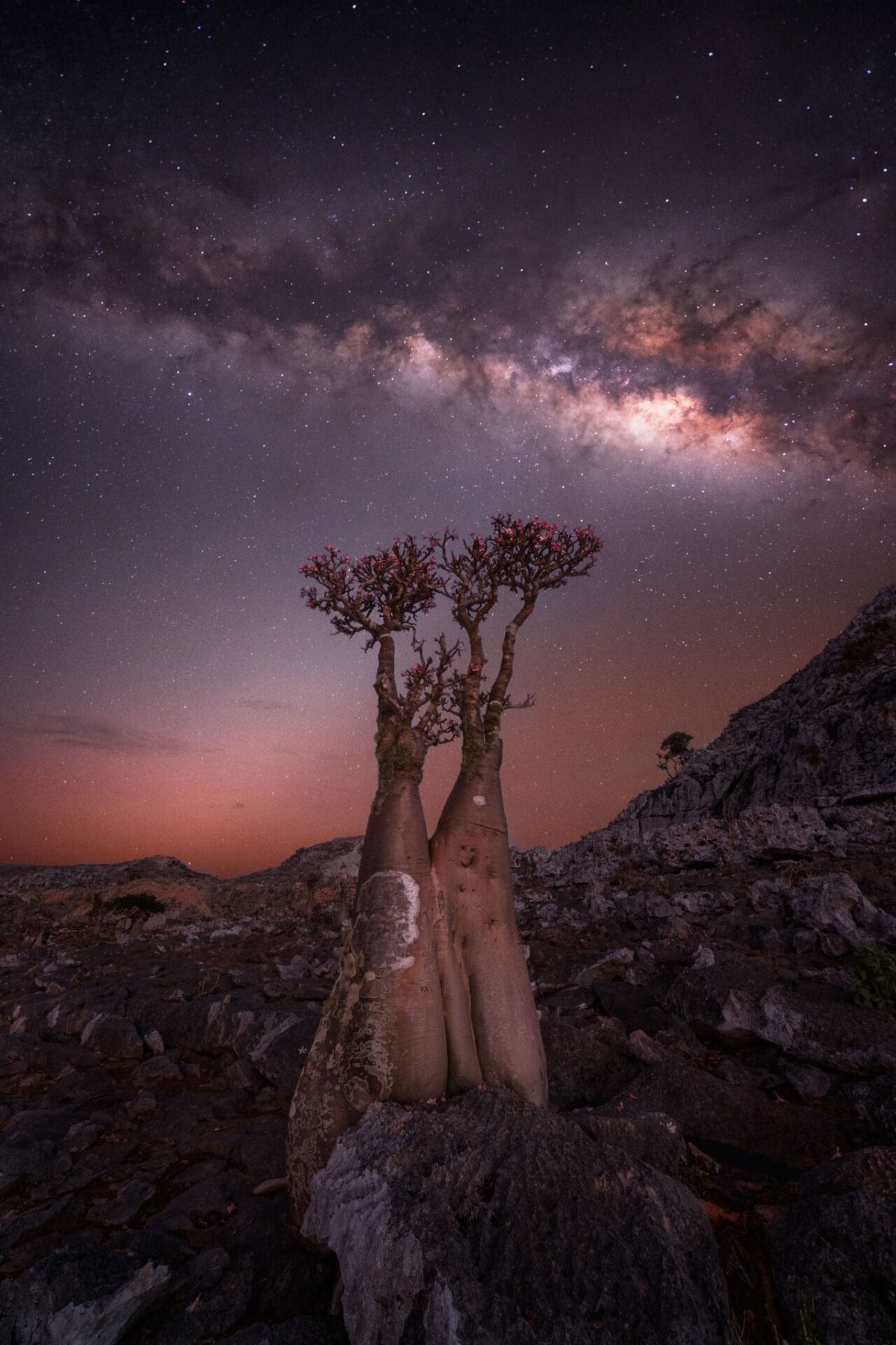 O concurso de fotgrafo de Via Lctea 2024 celebra a deslumbrante galxia espiral em nossos cus 08