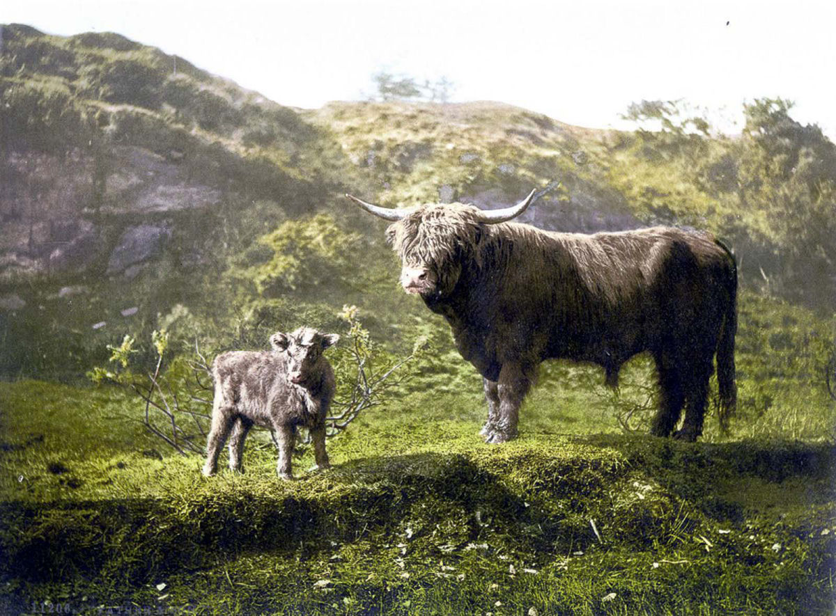 Fotografias coloridas antigas da Escócia, década de 1890 05