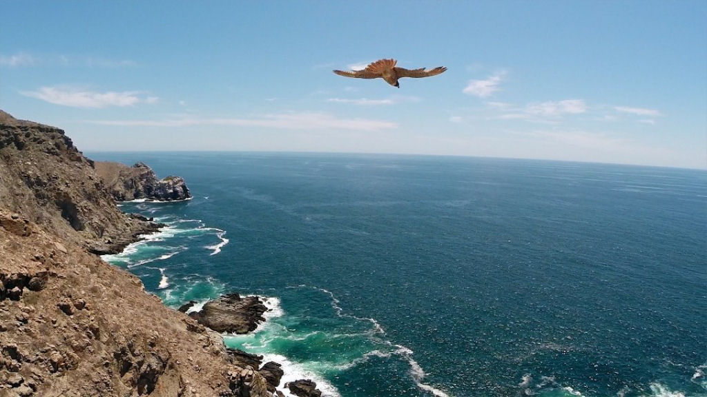 As melhores fotos de drones em 2014 15