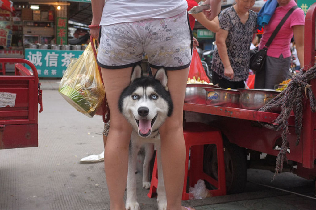 Este genial fotgrafo de rua invadiu a China com suas fotos com timing perfeito 03