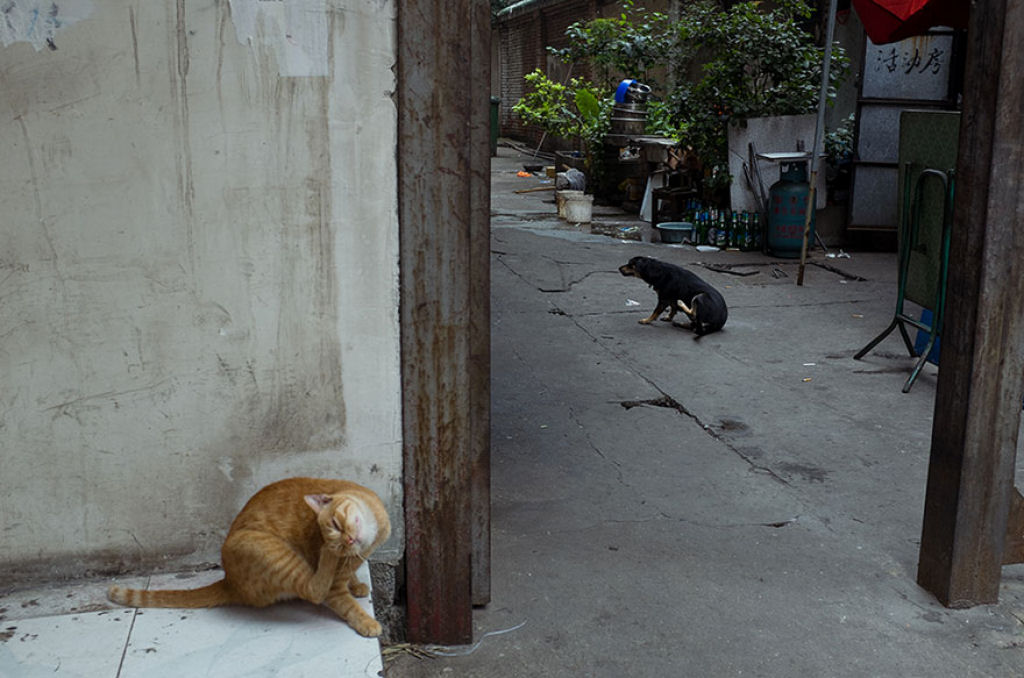Este genial fotgrafo de rua invadiu a China com suas fotos com timing perfeito 24