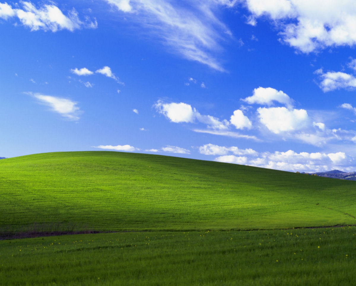 A histria por trs do papel de parede 'Felicidade' do Windows XP, a fotografia mais vista da histria