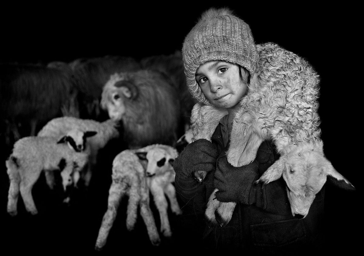 Retratos em P&B mostram os fortes laços entre pastores da Transilvânia e seus rebanhos 01