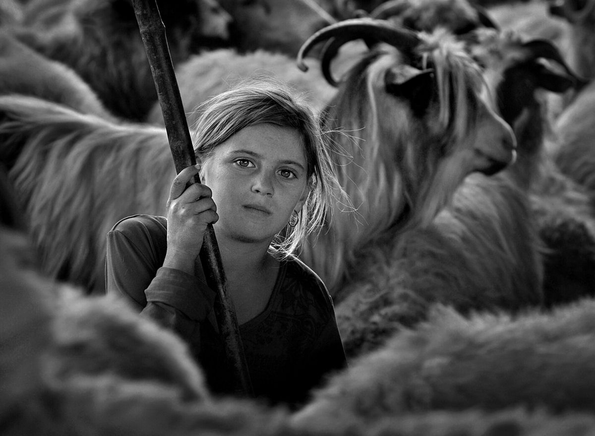 Retratos em P&B mostram os fortes laços entre pastores da Transilvânia e seus rebanhos 03