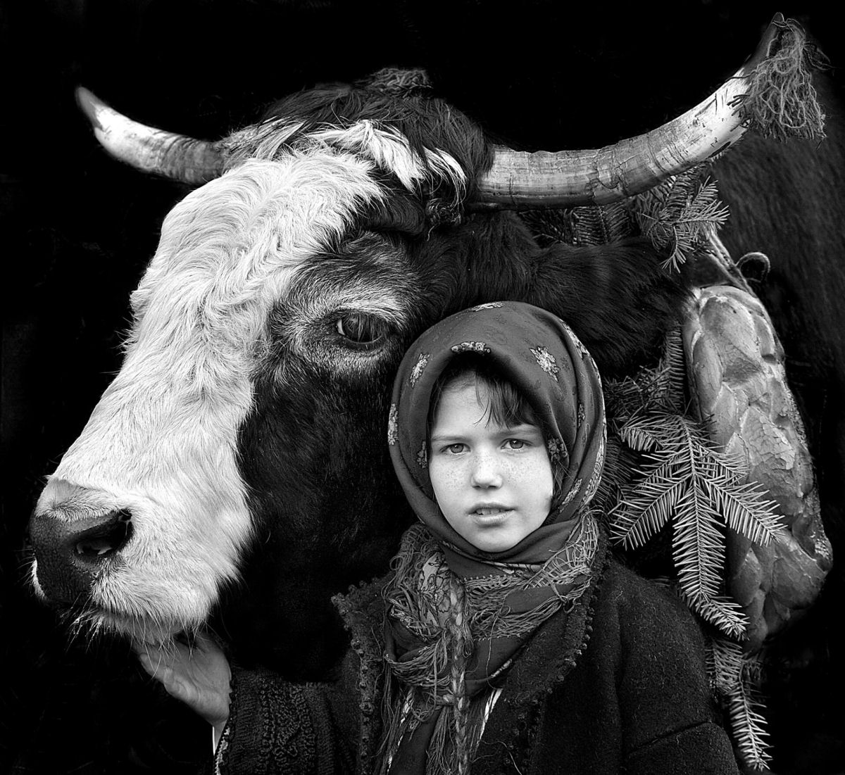 Retratos em P&B mostram os fortes laços entre pastores da Transilvânia e seus rebanhos 04