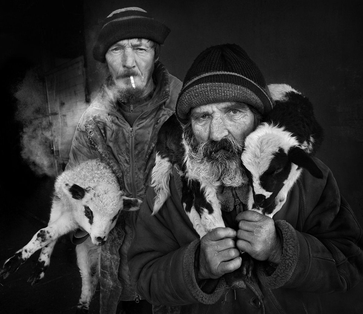 Retratos em P&B mostram os fortes laços entre pastores da Transilvânia e seus rebanhos 08