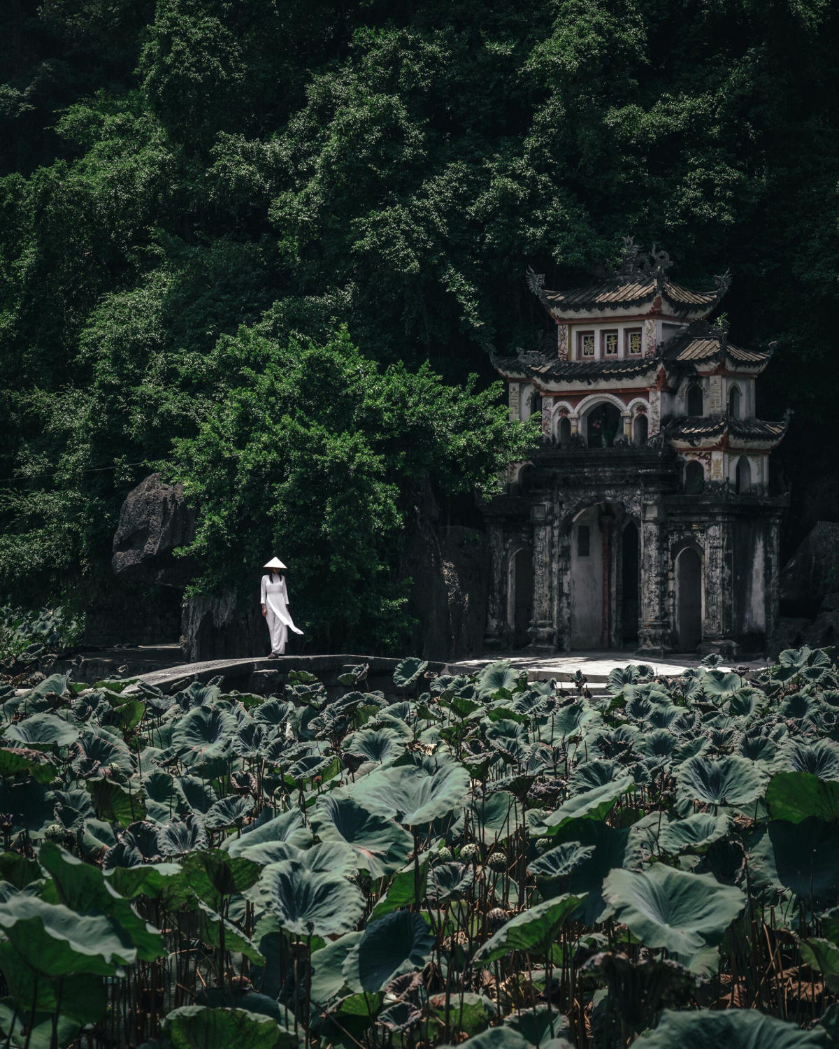 Fotógrafo japonês emoldura a beleza inesperada da vida cotidiana em toda a Ásia 03