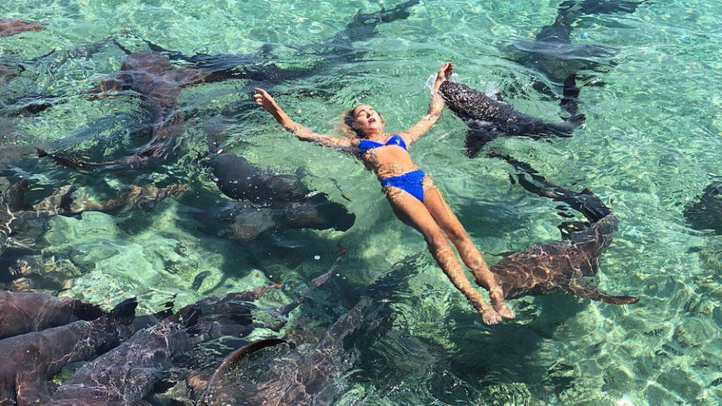 O momento que um tubaro atacou uma modelo de Instagram que queria fazer uma sesso de fotos com eles