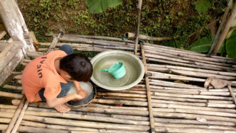 Vietnamita de 10 anos vive sozinho, cultivando e colhendo, depois de ser abandonado pela famlia