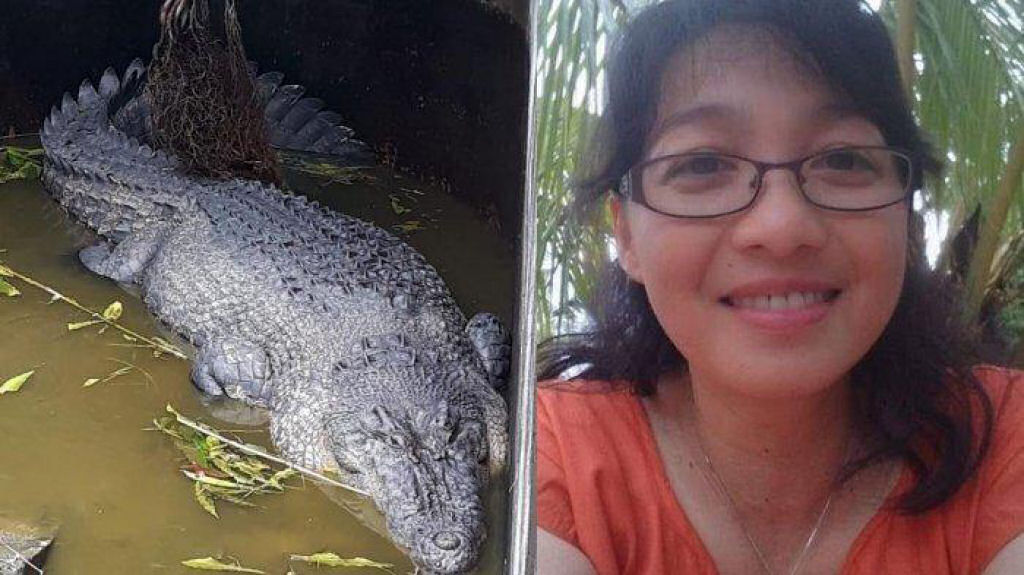 Crocodilo saltou mais de dois metros para devorar cientista que o alimentava