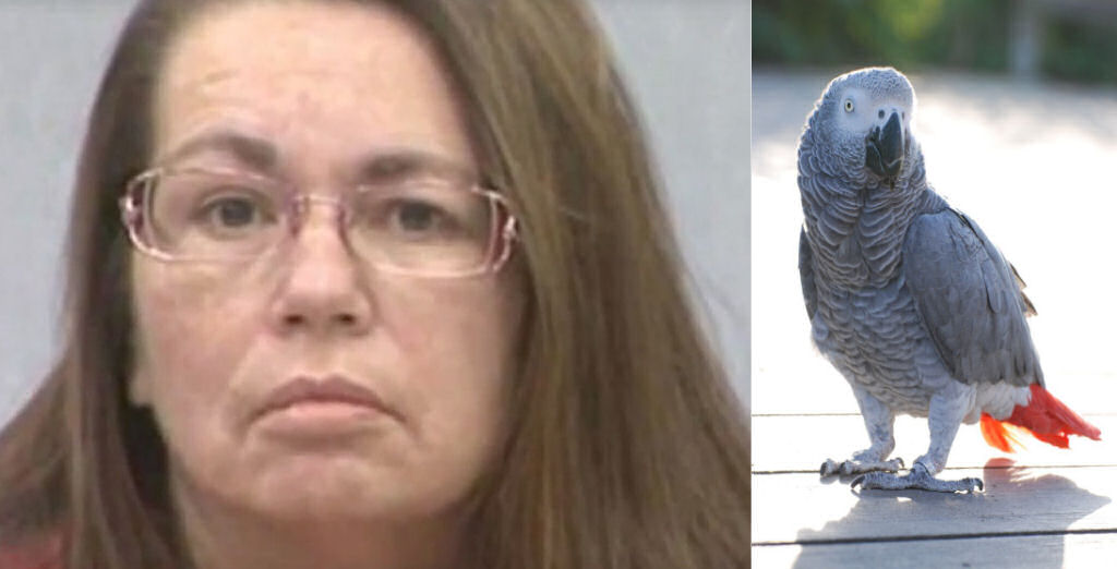 Mulher foi condenada a priso perptua por um assassinato testemunhado por um papagaio