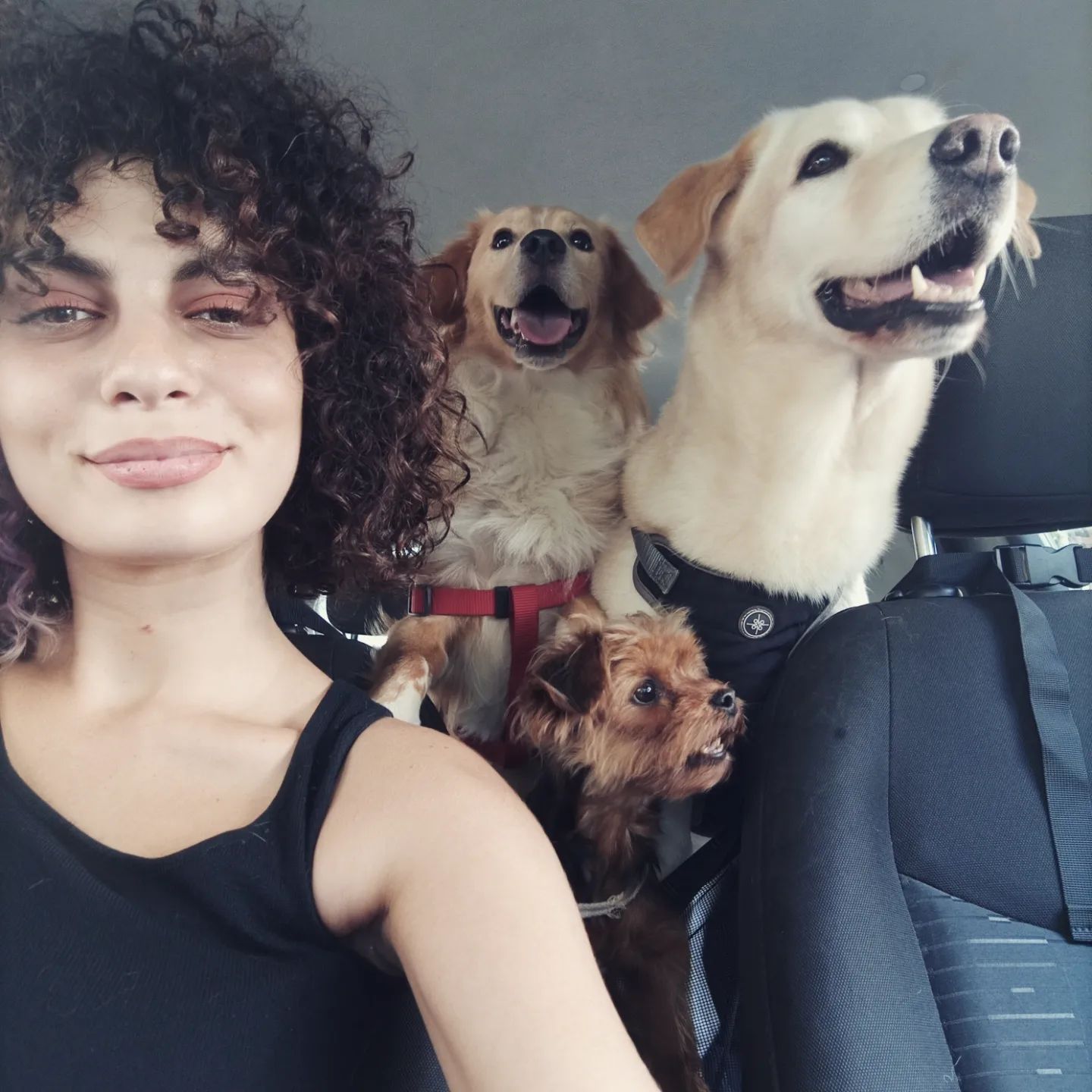 A libanesa que desistiu de tudo para resgatar animais vadios em tempo integral