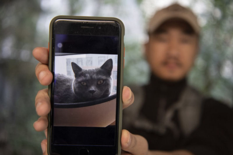 Ace Ventura chinês da vida real depende de tecnologia para encontrar animais de estimação perdidos
