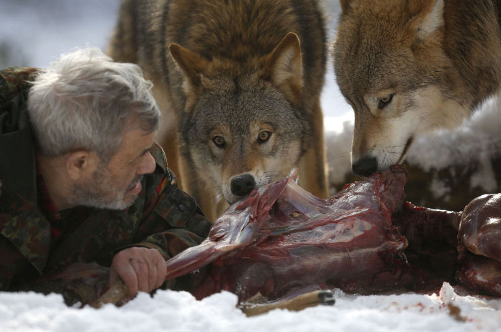 Vivendo com lobos - A incrível história de Werner Freund 01