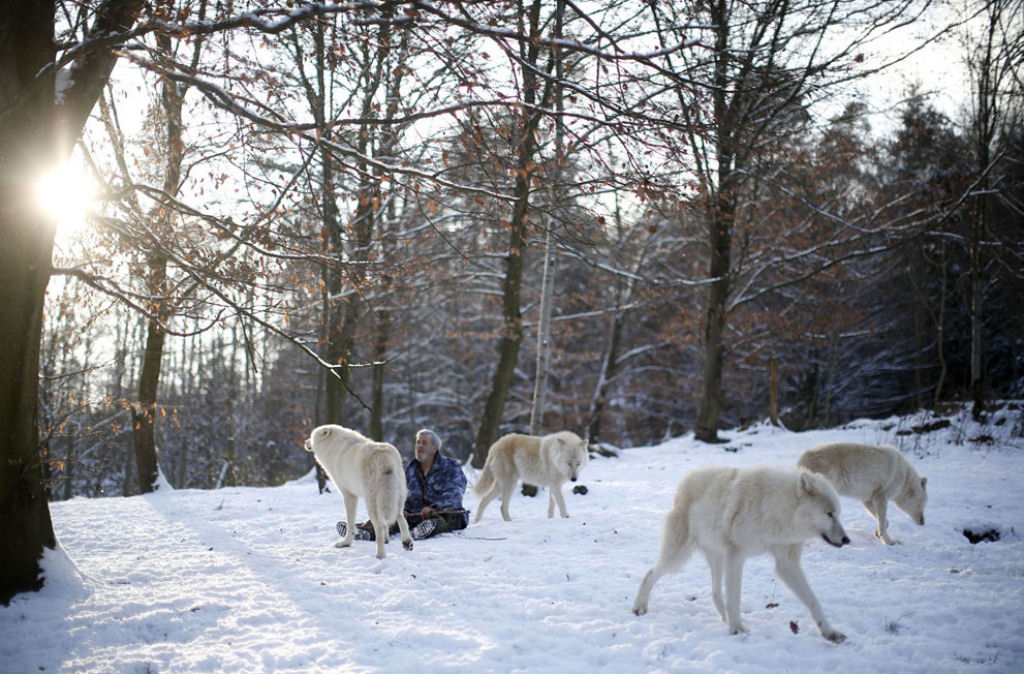 Vivendo com lobos - A incrível história de Werner Freund 05