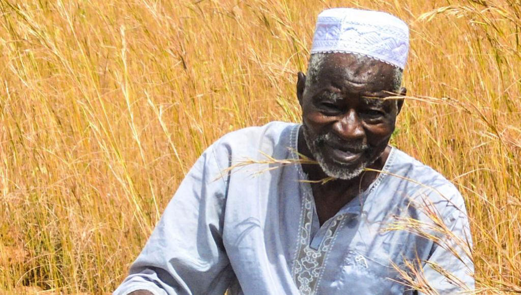 Agricultor africano detém o avanço do deserto com uma enxada e muita fé
