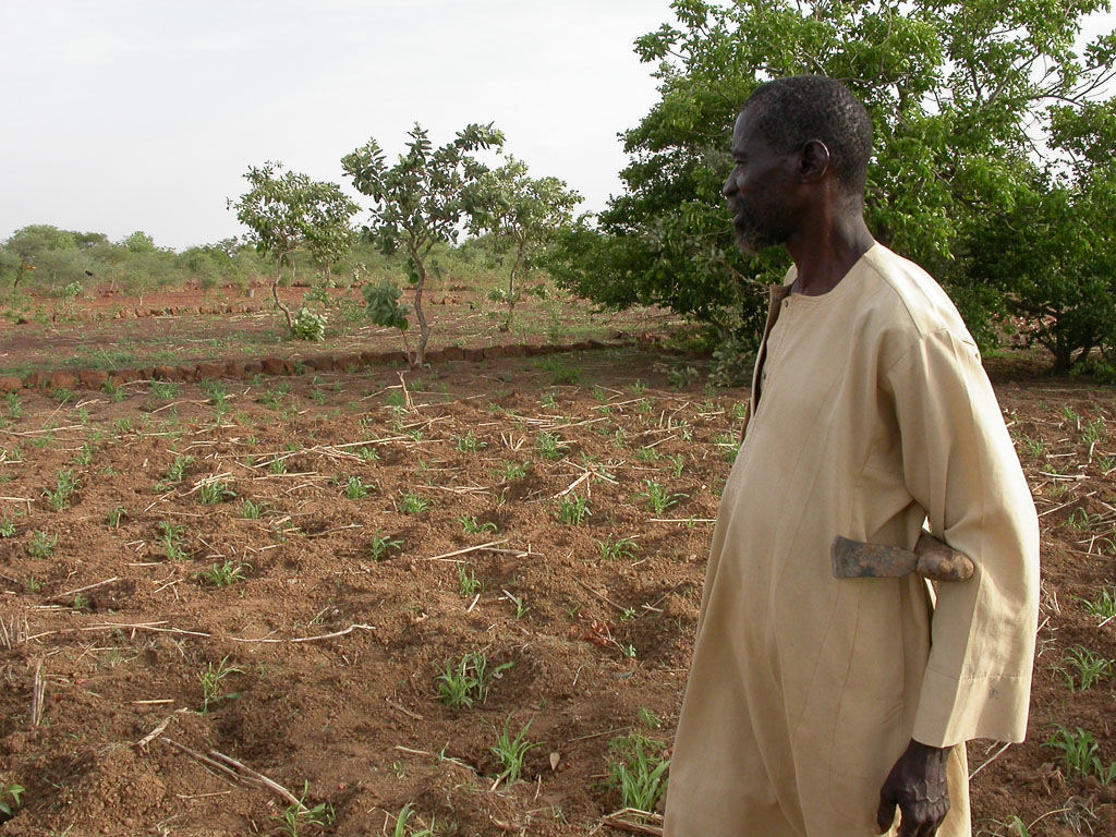 Agricultor africano detm o avano do deserto com uma enxada e muita f