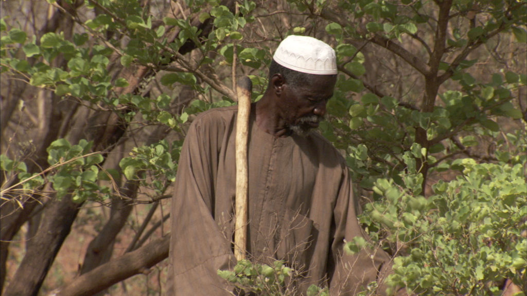 Agricultor africano detm o avano do deserto com uma enxada e muita f