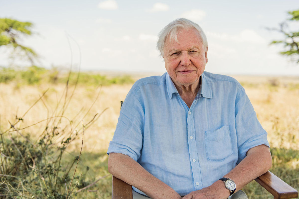 Sir David Attenborough faz um 'apelo final urgente' para o futuro do nosso planeta