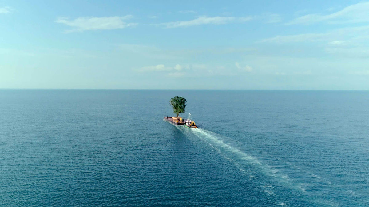 Bilionrio transporta rvores de barco h anos para seu jardim pessoal no Mar Negro