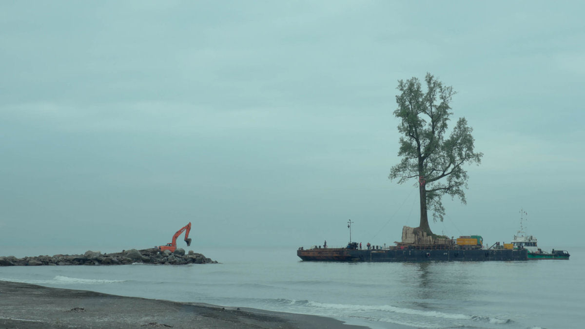 Bilionrio transporta rvores de barco h anos para seu jardim pessoal no Mar Negro