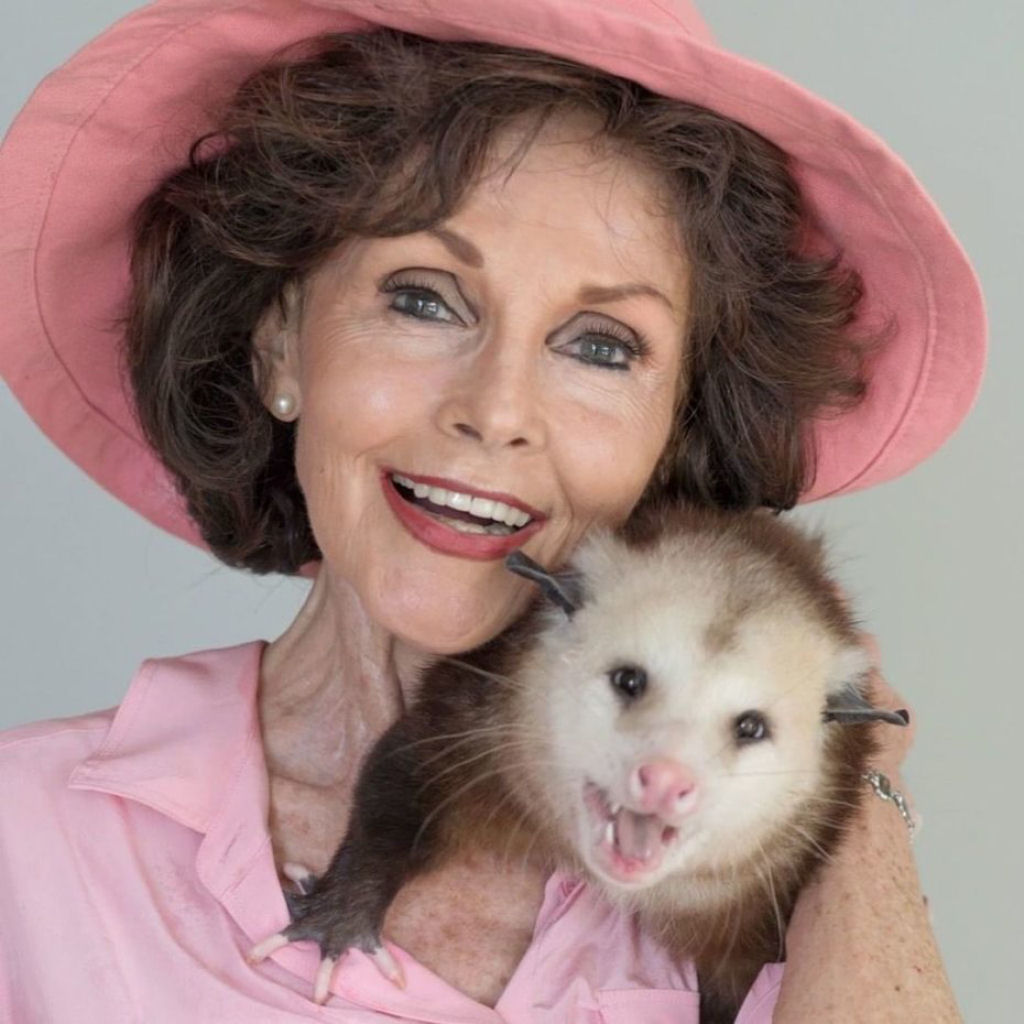 Conheça a Dona Gambá, a rainha indiscutível dos marsupiais no Youtube