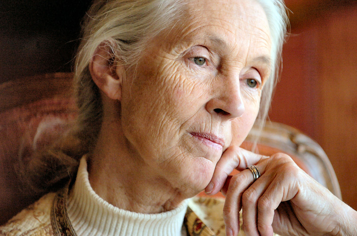 Alguns fatos marcantes sobre a incrível Jane Goodall