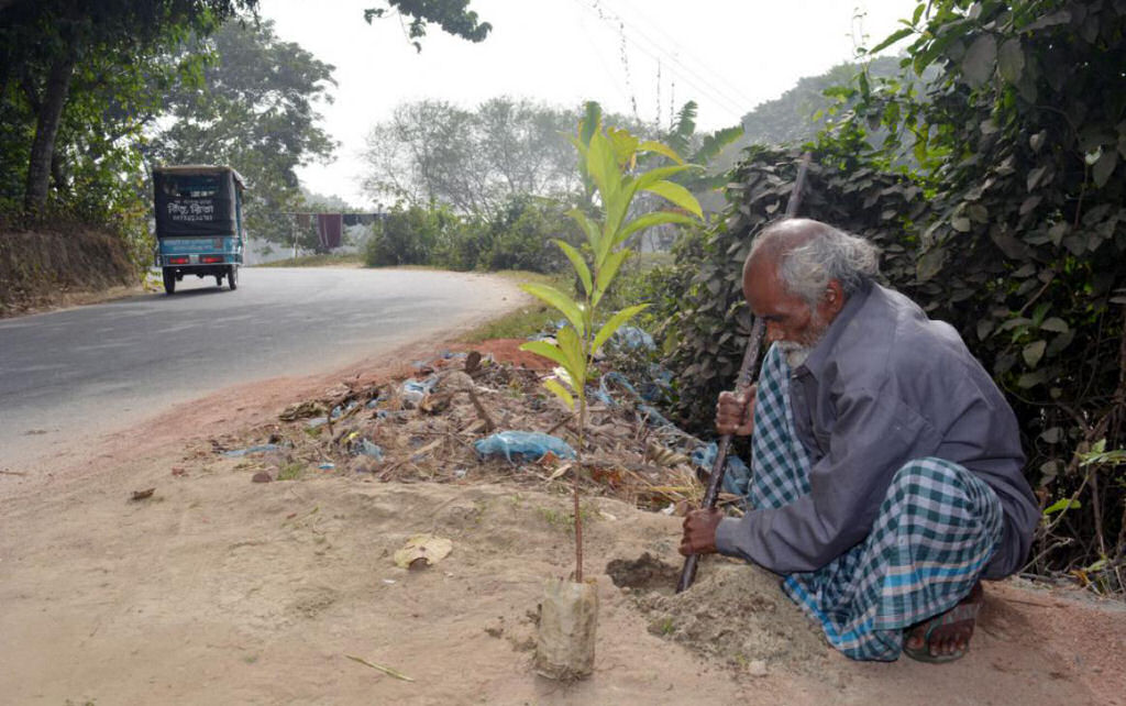 “Servo das Árvores de Bangladesh” plantou uma árvore todos os dias nos últimos 48 anos