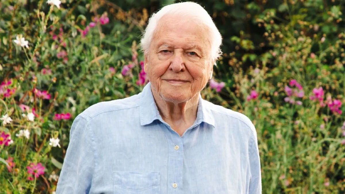 Sir David Attenborough completar� 1 s�culo de vida celebrando sua obra que definiu o g�nero