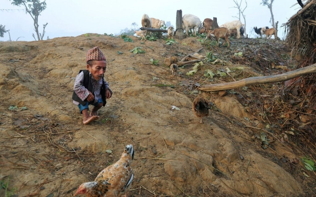Novo menor homem do mundo encontrado em aldeia do Nepal 04