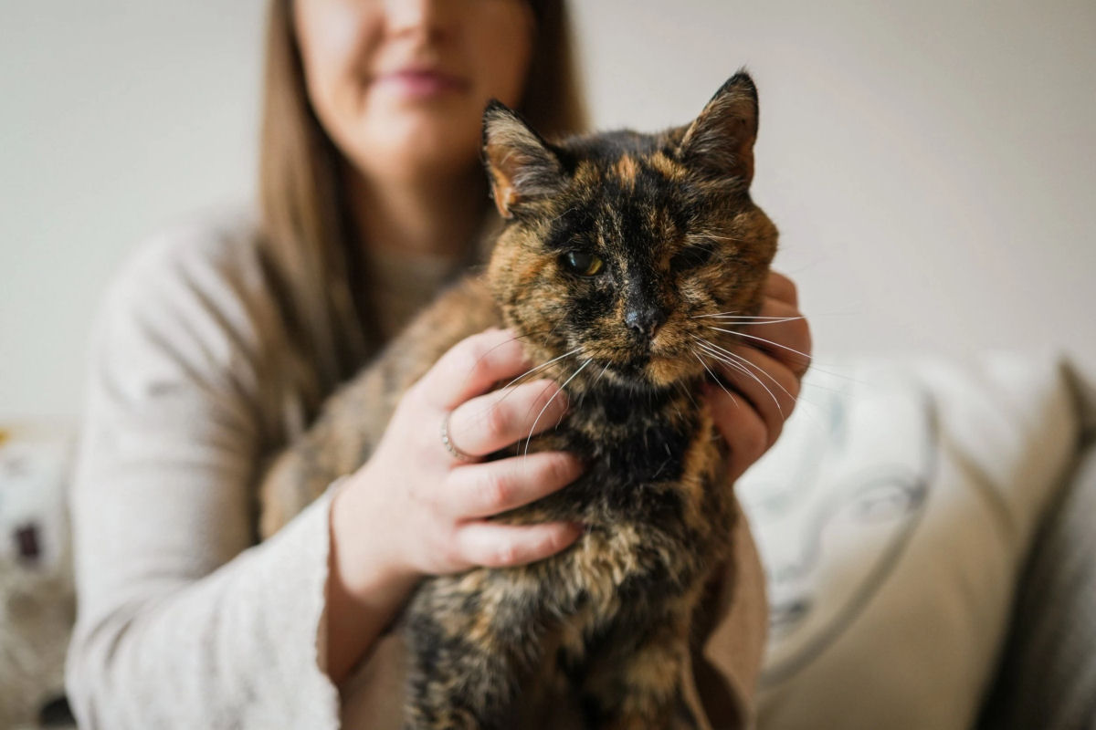 Flossie  nomeada a gata viva mais velha pelo Guinness