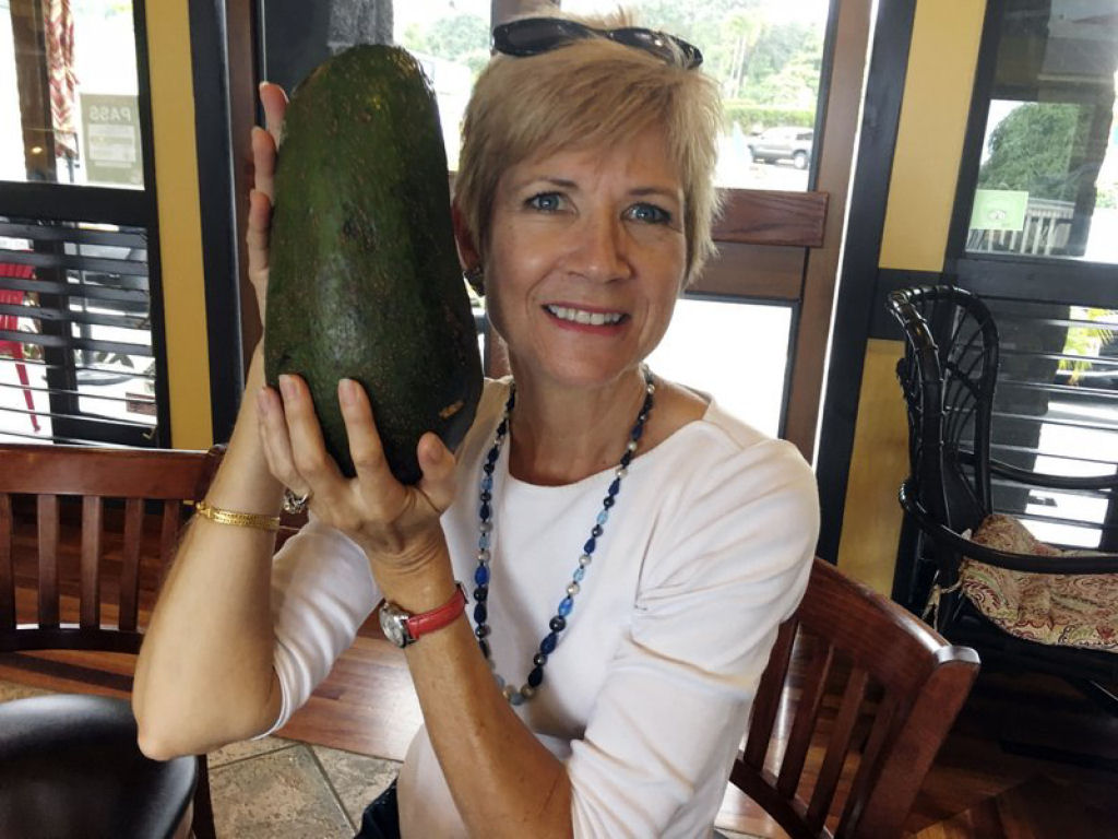 Mulher foi fazer uma caminhada e encontrou um abacate de 2,3 kg, possivelmente o mais pesado do mundo