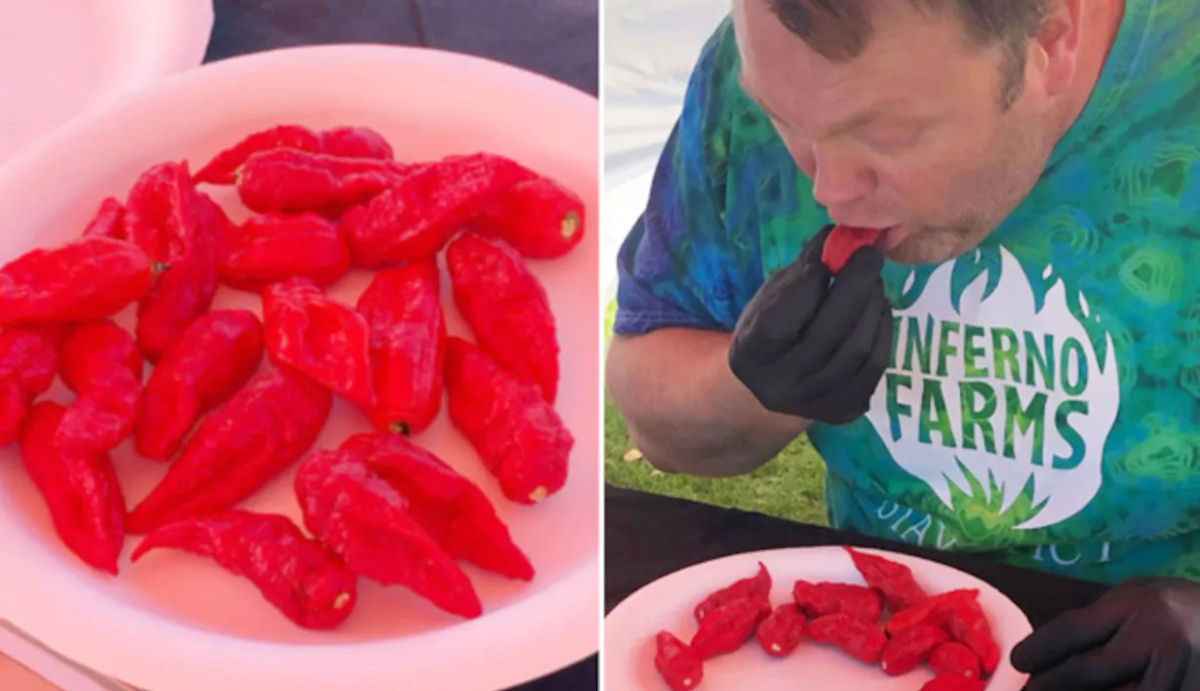 Americano quebra o recorde mundial de comer mais pimentas-fantasmas em um minuto