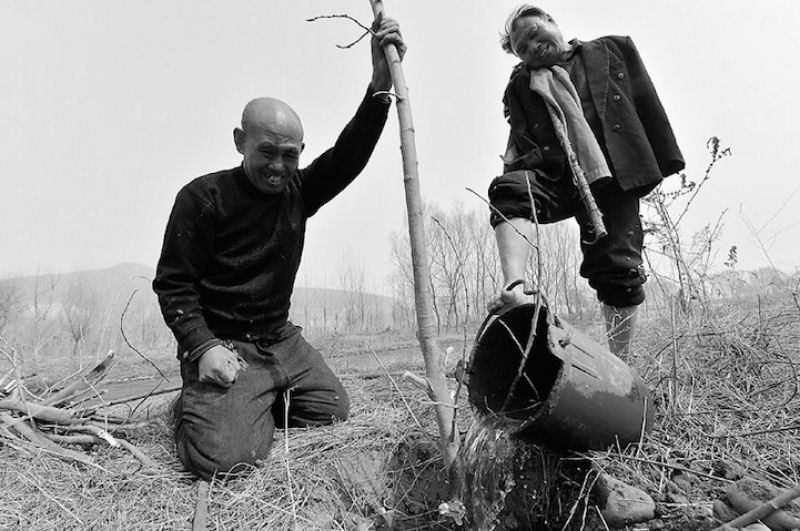 Eco-Heris da China: homem cego e amigo abrquio plantam 10.000 rvores em 10 anos 01