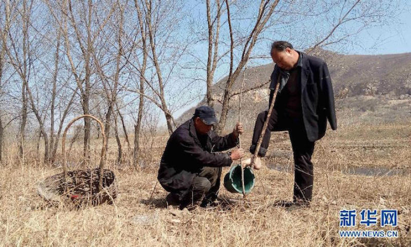 Eco-Heris da China: homem cego e amigo abrquio plantam 10.000 rvores em 10 anos 02