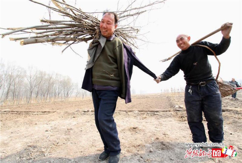 Eco-Heris da China: homem cego e amigo abrquio plantam 10.000 rvores em 10 anos 03
