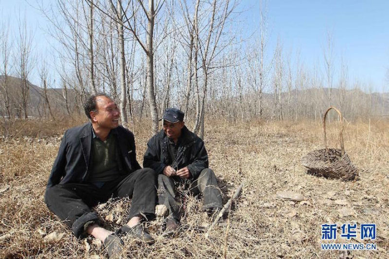 Eco-Heris da China: homem cego e amigo abrquio plantam 10.000 rvores em 10 anos 08