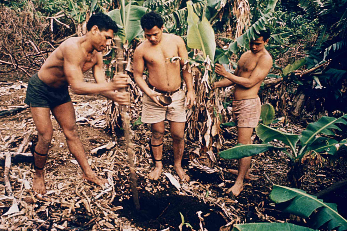 Em 1965, seis adolescentes ficaram presos em uma ilha deserta por 15 meses e todos sobreviveram