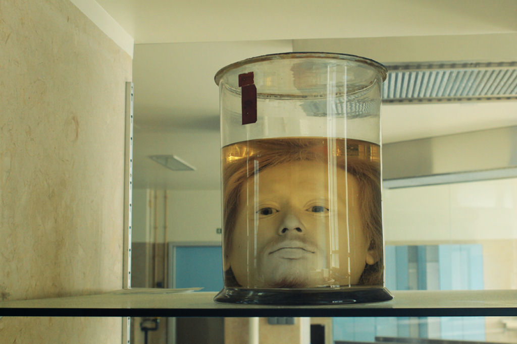 O que faz a cabea de um assassino em srie perfeitamente conservada em um vaso em uma universidade portuguesa?