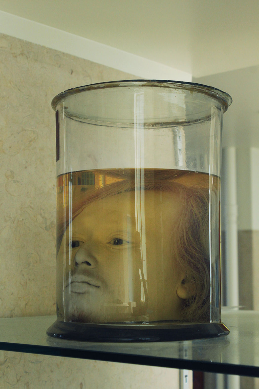 O que faz a cabea de um assassino em srie perfeitamente conservada em um vaso em uma universidade portuguesa?